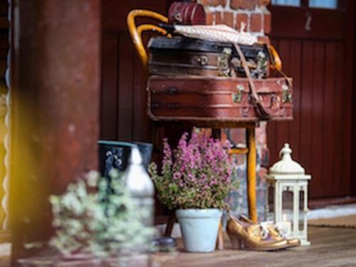 Guest house The Shepherd's Purse 3*